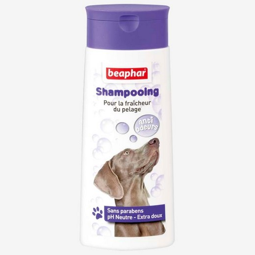 Shampoing pour chien anti odeurs
