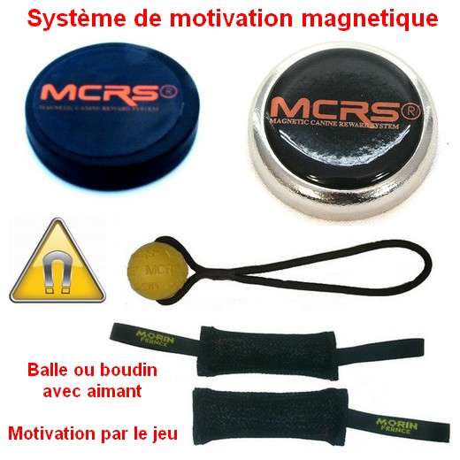 Système de motivation magnétique