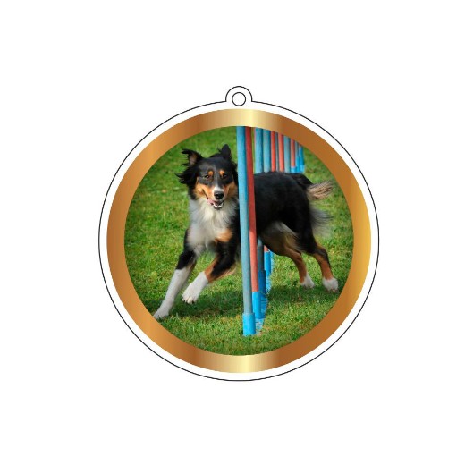 Médaille avec ruban tour de cou - Agility - Ring - RCI