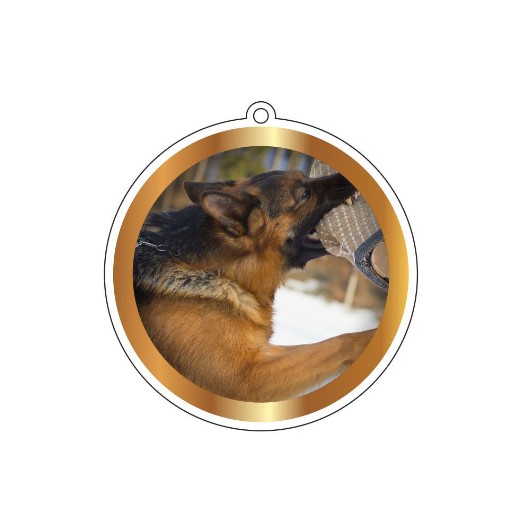 Médaille avec ruban tour de cou - Agility - Ring - RCI