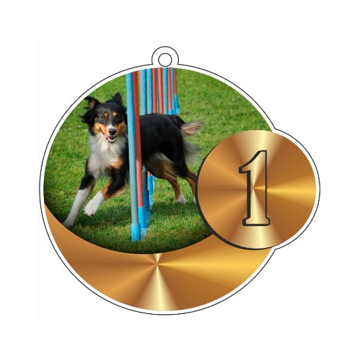 Médaille podium AGILITY avec ruban tour de cou