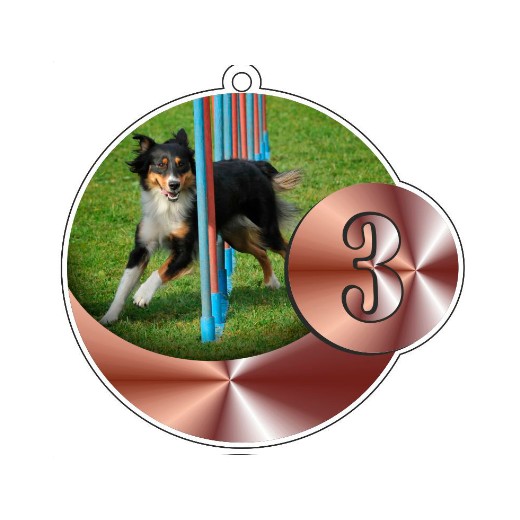 Médaille podium AGILITY avec ruban tour de cou