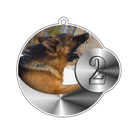 Médaille podium RCI avec ruban tour de cou