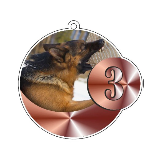 Médaille podium RCI avec ruban tour de cou