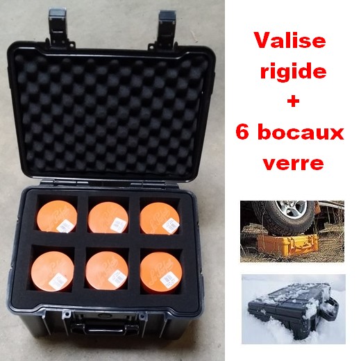 Valise rigide + 6 bocaux en verre grande capacité