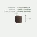 PureLife Mini Adulte - Aliment pour chien adulte de petite race - image 3