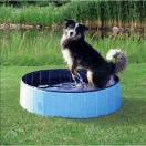 Piscine pour chien - image 2