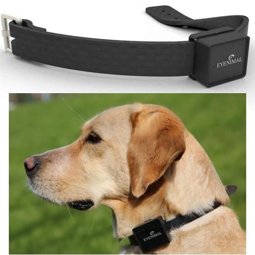 Balise Gps Pour Chien Et Chat Avec Localisation Sur Smartphone