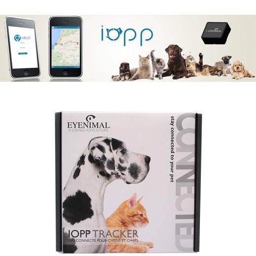 Balise Gps Pour Chien Et Chat Avec Localisation Sur Smartphone