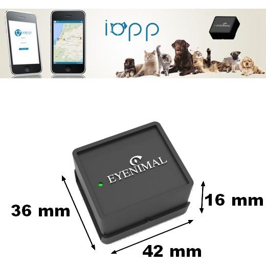 Balise Gps Pour Chien Et Chat Avec Localisation Sur Smartphone