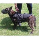 Gilet pare-balles pour chien avec systeme MOLLE - image 3