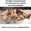 Partie de corps pour entrainement  la dtection de cadavre ou restes humains