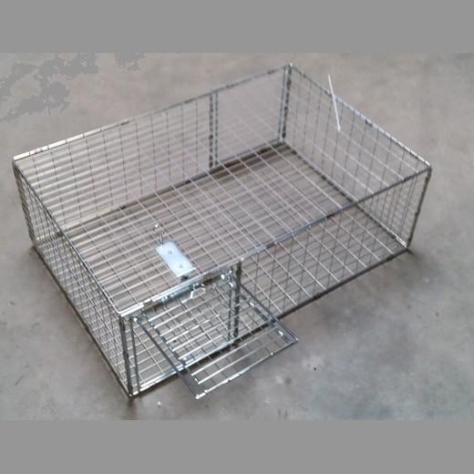 Pack] Piège à Animaux Humaine Attraper et relâcher Animal Vivant Cage  métallique Martre Castor Chatte Déménager Accueil Jardin Grenier  Différentes tailles Petigi