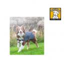 Aira - Manteau impermable pour chien - Ruffwear - image 3