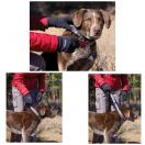 Laisse nylon Quick Draw - Ruffwear - image 2