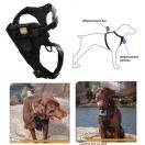 Harnais pour chien Ksix pour Gopro et caméras de sport KSIX