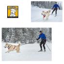 Harnais traction Omnijore - Ruffwear - image 2