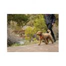 Harnais Front Range pour chien - Ruffwear - image 4