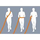 Laisse bandoulire / Ceinture Jogging - image 3