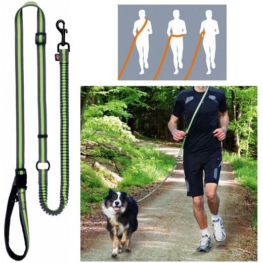 Ceinture de jogging avec laisse pour chien