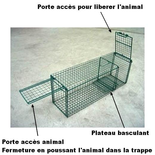 Trappe De Capture Chat Avec Porte Basculante Morin Accessoires Pour Chien Et Chat