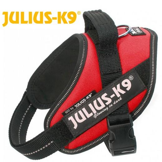 ICD POWER Julius K9 Harnais pour chien - Accessoires, colliers et