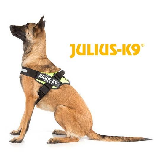 Harnais pour chien bleu Julius K9, Haute qualité