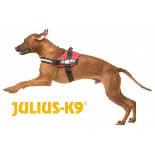 Julius K9 - Julius K9 IDC Harnais pour chiens Taille chiot 2 Vert Néon  16IDC-NE-B2 - Equipement de transport pour chien - Rue du Commerce