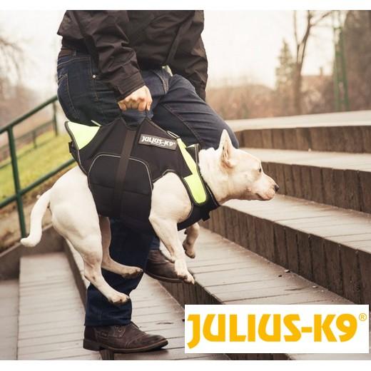 gilet de sauvetage chien julius