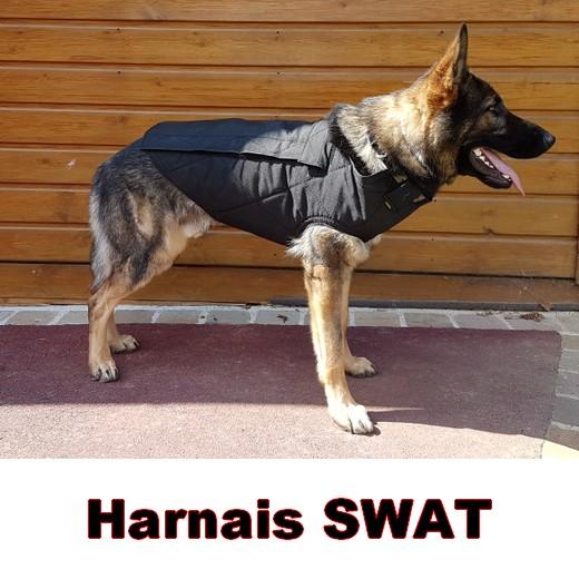 harnais police pour chien