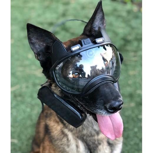 K9 vision camera, operational dog camera. MORIN FRANCE Cyno. Accessories for law enforcement and security