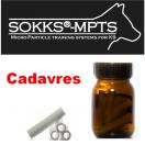 Sokks Cadavres