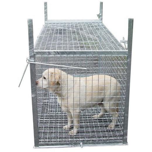 Cage piège capture animaux 50 x 20 x 27 cm - mailles : 25 x 25 mm 14_0 –  Helloshop26