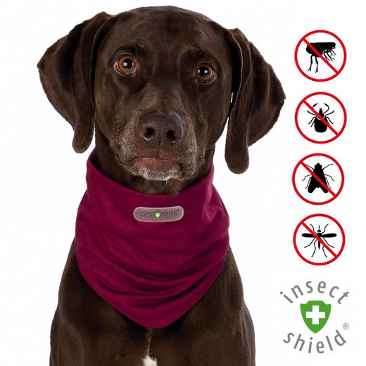 Tour de cou anti-insectes et parasites pour chien