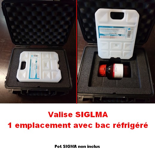 Valise de transport réfrigérée pour produits SIGMA