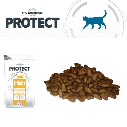 Flatazor Protect Chat - Urinary