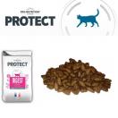 Flatazor Protect Chat - Digest - image 1
