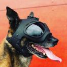 Casque pour chien K9 Tactical