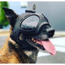 Casque pour chien K9 Tactical - image 3