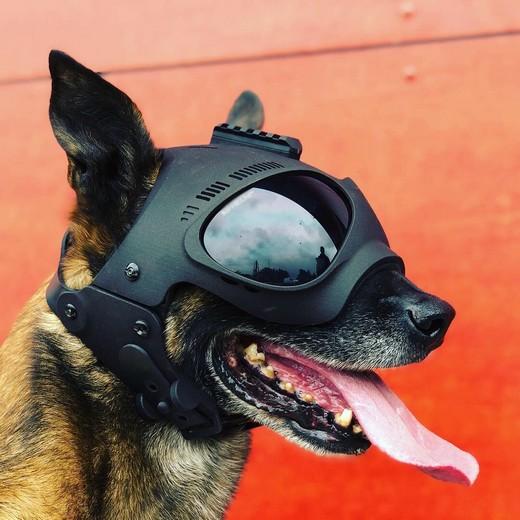 Tactical helmet for dogs hotsell