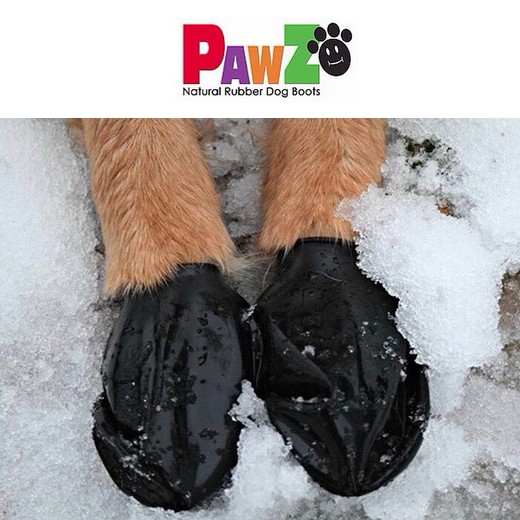 Bottine / chaussettes de protection pour chien - PAWZ