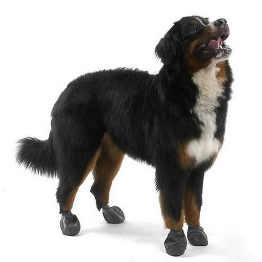 Comparer les prix de Pawz Dog Bottes Pour Chiens Noirs Xl