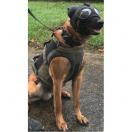 Casque de protection K9 Tactical + coques oreilles - image 2