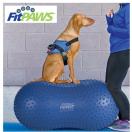 FitPaws Trax Peanut - image 6