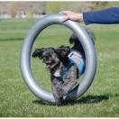 FitPaws Donut Holder - image 2