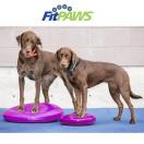 FitPaws Balance Disc