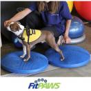 FitPaws Balance Disc - image 2