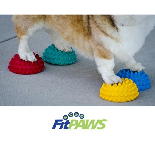 FitPaws Pods antidérapants