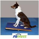 FitPaws Giant Rocker Board - image 2