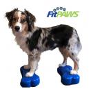 FitPaws Mini FitBone